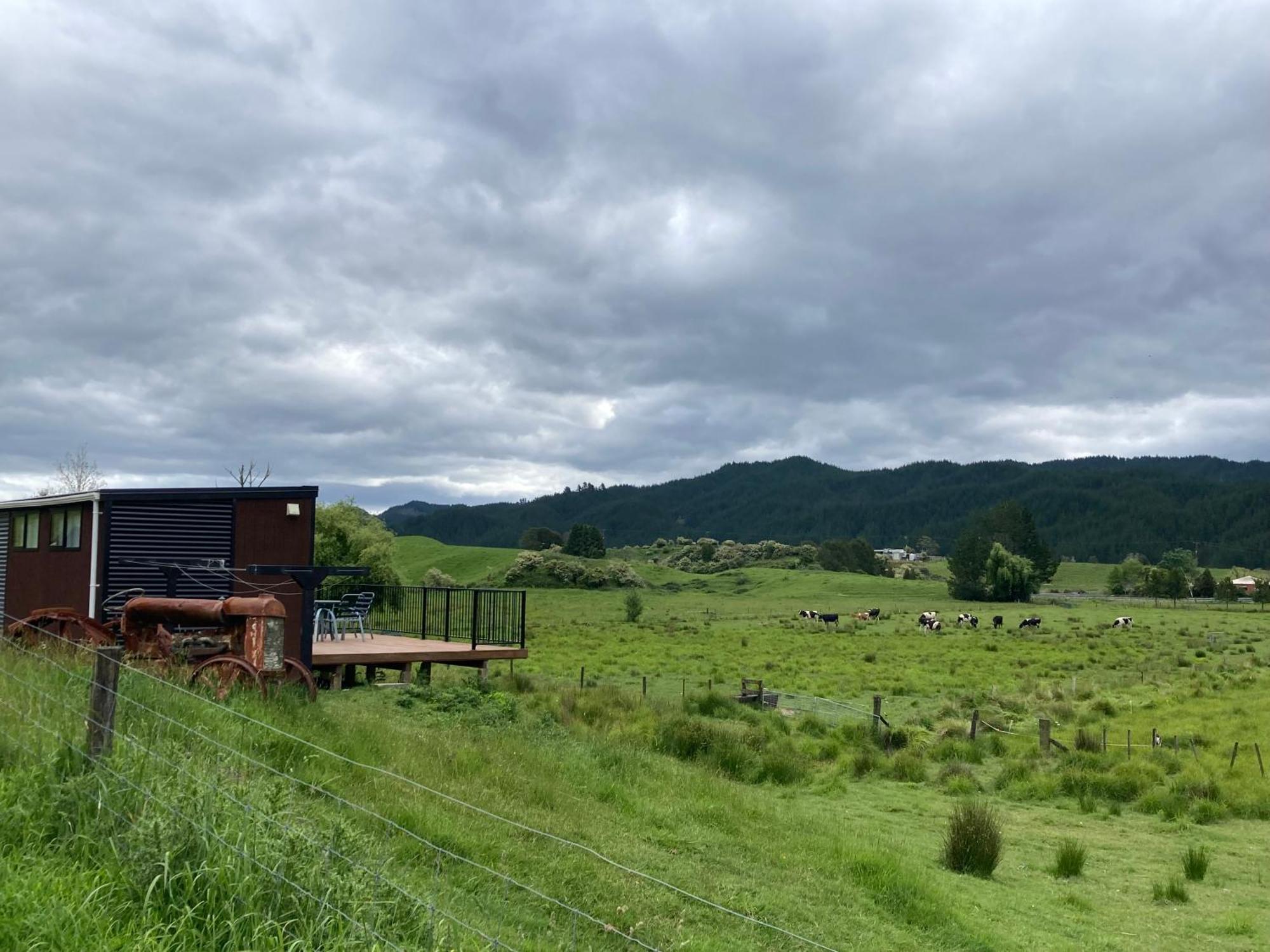 Taneatua White Pine Bush Cabins מראה חיצוני תמונה