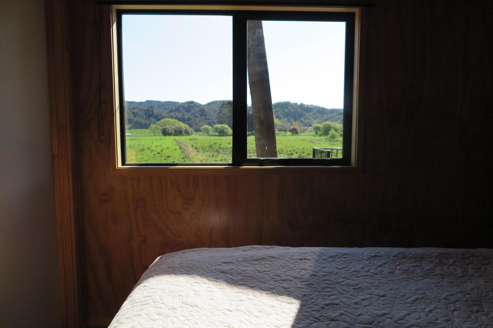 Taneatua White Pine Bush Cabins מראה חיצוני תמונה